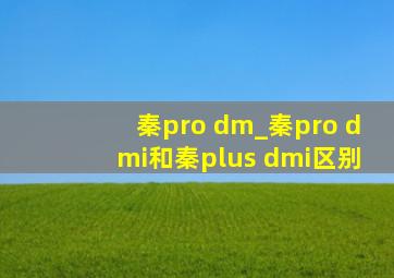 秦pro dm_秦pro dmi和秦plus dmi区别